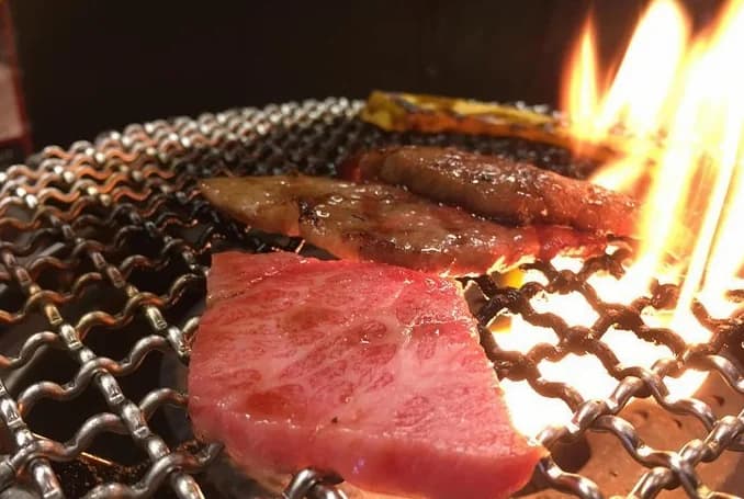 Osaka Eat and Ride: My Honest Review of a Culinary Cycling Route