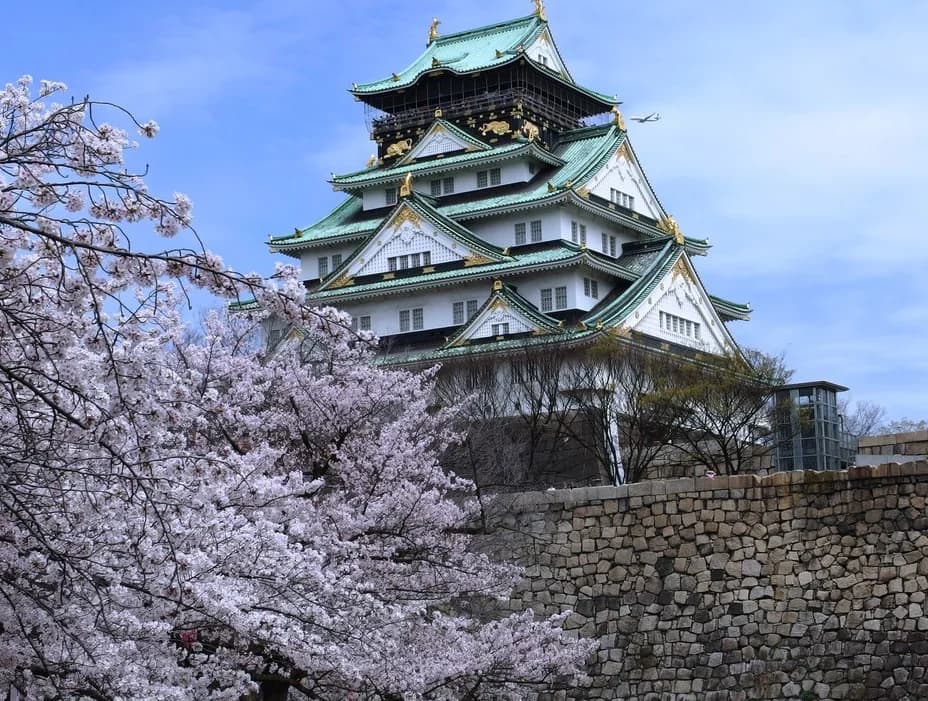 Kansai Private Driver Tour: My Honest Review of a Custom Food Itinerary
