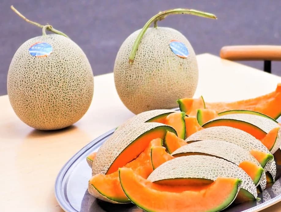 Furano and Biei Summer Day Trip: My Honest Experience with Hokkaido Harvest